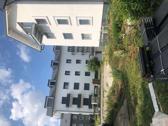 Safenwil (Aargau) 1